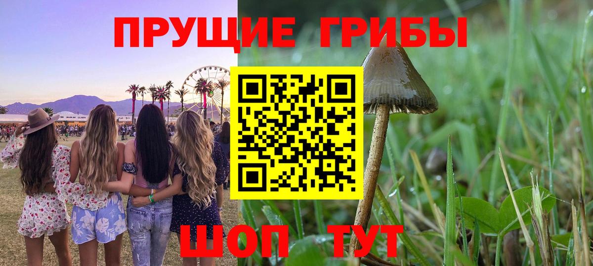 Галлюциногенные грибы мухоморы  дарнет шоп  Ступино  Вход с VPN 
