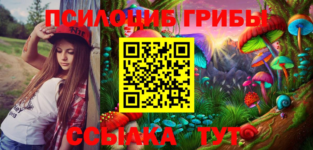 Псилоцибиновые грибы Psilocybine cubensis Ступино